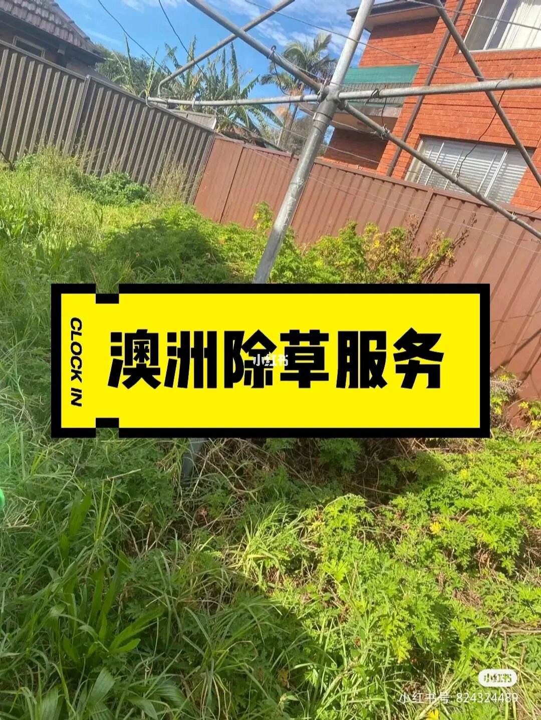 澳洲除草(澳洲除草剂哪种好用)