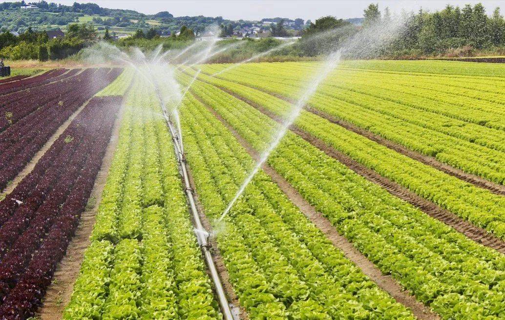 关于灌溉的诗句(关于灌溉的诗句有哪些)