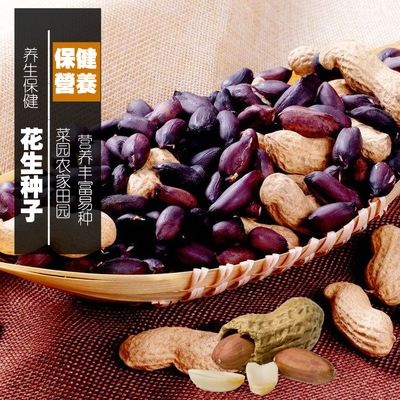 罗汉果花生品种大全(高产罗汉果花生新品种)