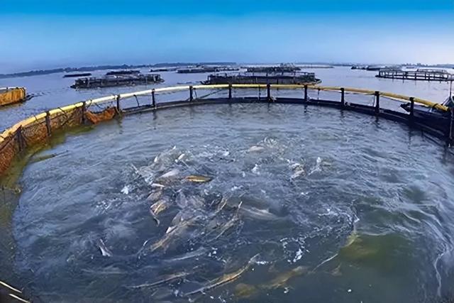 江苏省水产养殖面积(江苏省水产养殖面积有多大)