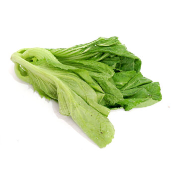 芥菜新鲜(新鲜芥菜的吃法)