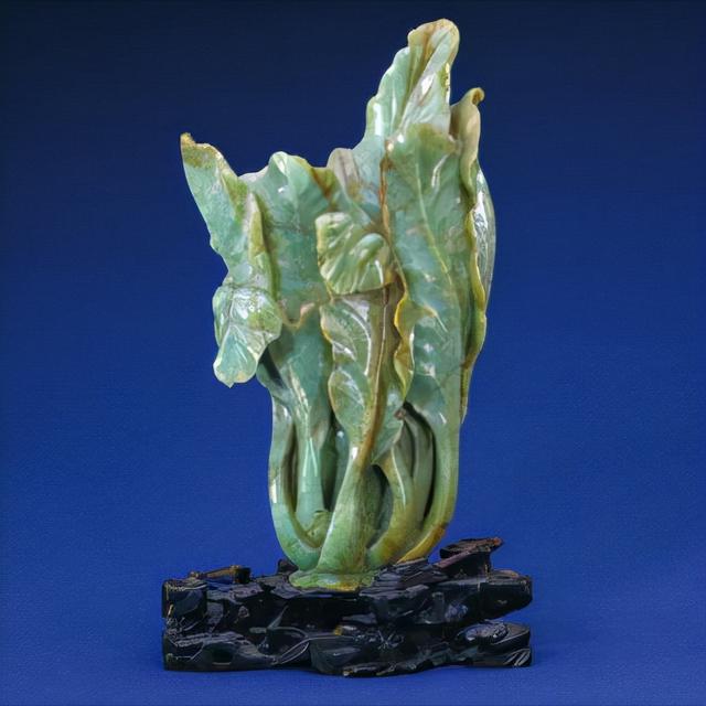 白菜本草(中草药白菜)
