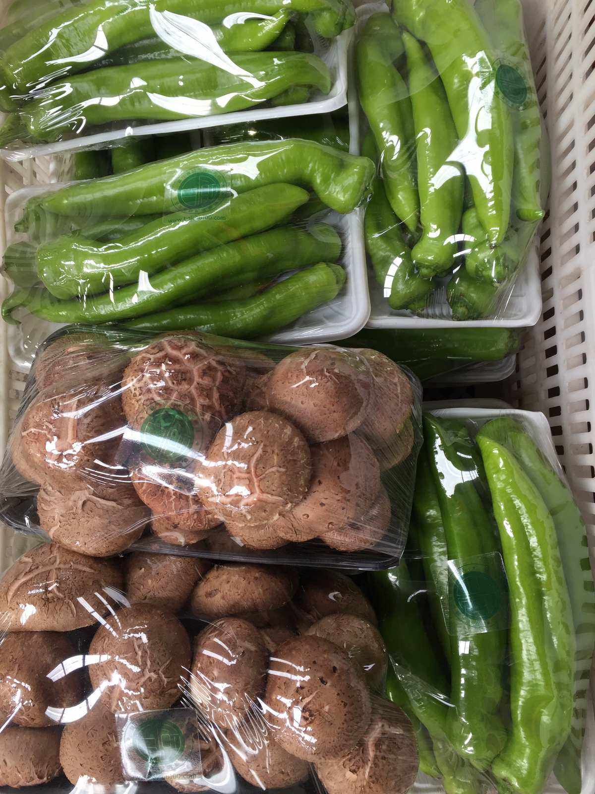 集装箱种植蔬菜加盟(蔬菜集装箱单价)