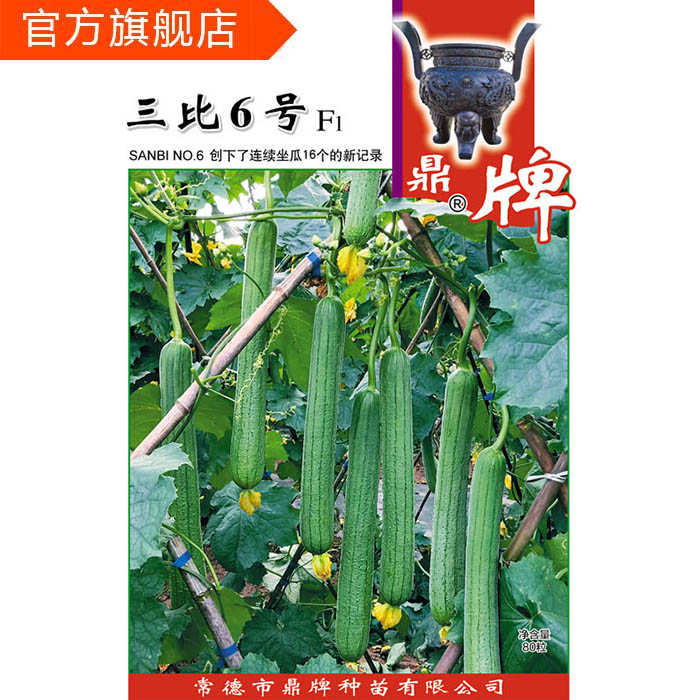 长丝瓜种子哪个品种好(长丝瓜种子哪个品种好吃)