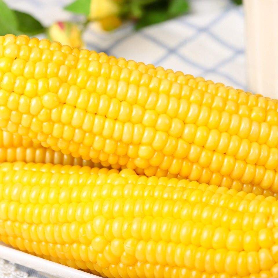 怎么分辨玉米是否转基因(怎么分辨玉米是不是转基因)