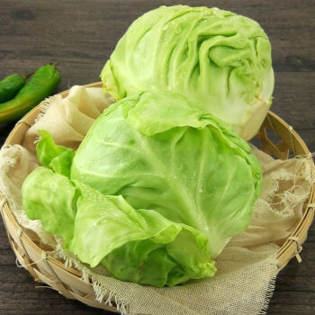 包菜和甘蓝哪个好吃(包菜和甘蓝营养的区别)