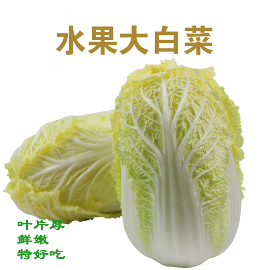 大白菜什么种子好(大白菜种子四季皇冠)