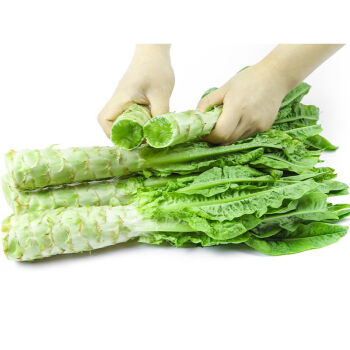 莴笋不新鲜(莴笋不新鲜图片)