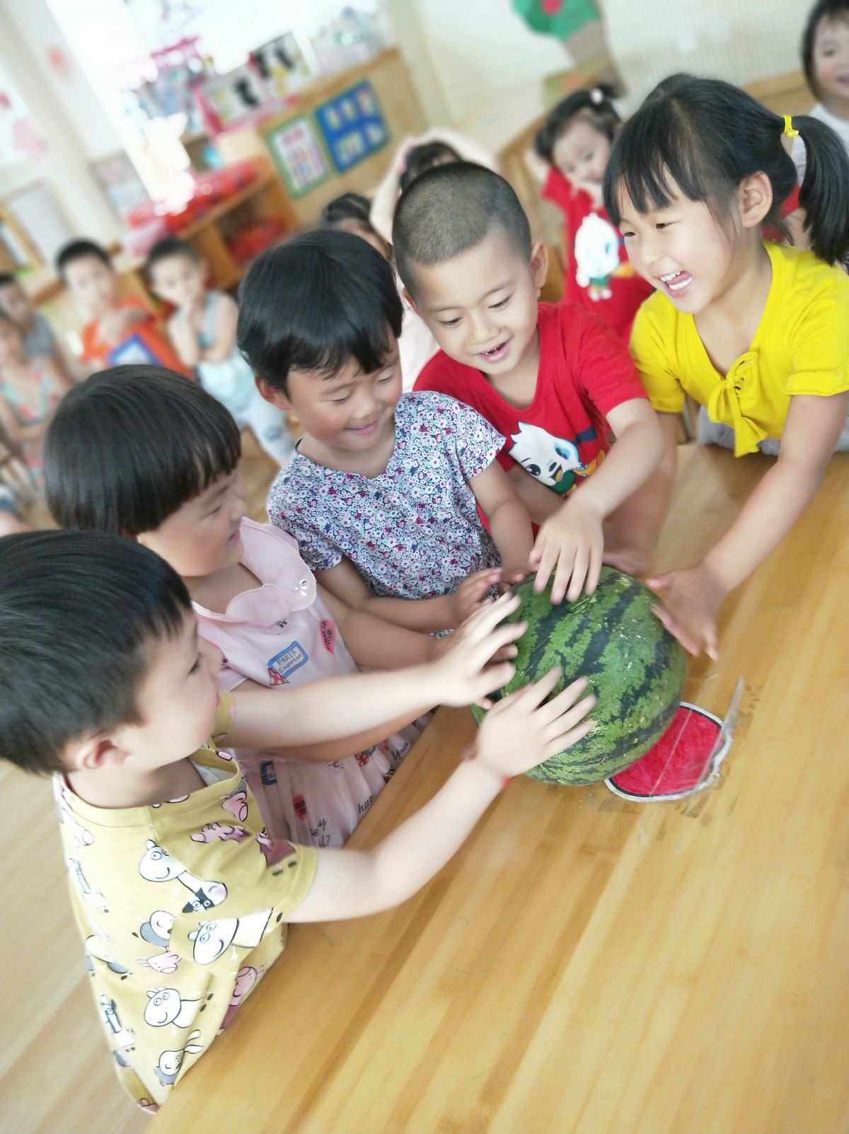 种西瓜日记(种西瓜日记300字)