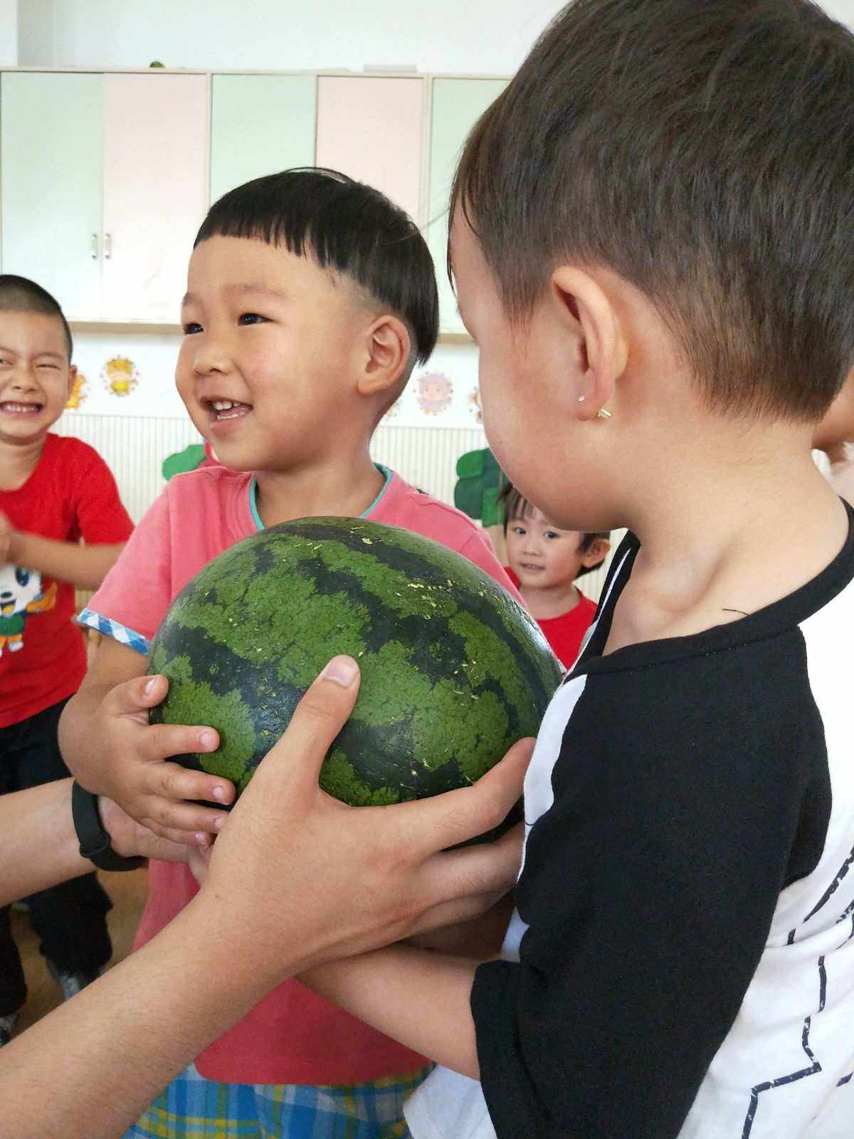 种西瓜日记(种西瓜日记300字)
