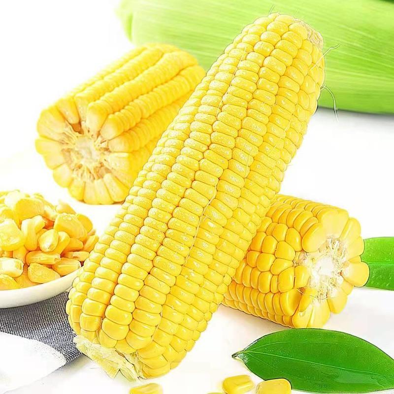 玉米是属于蔬菜还是水果(玉米是属于蔬菜还是属于粮食)