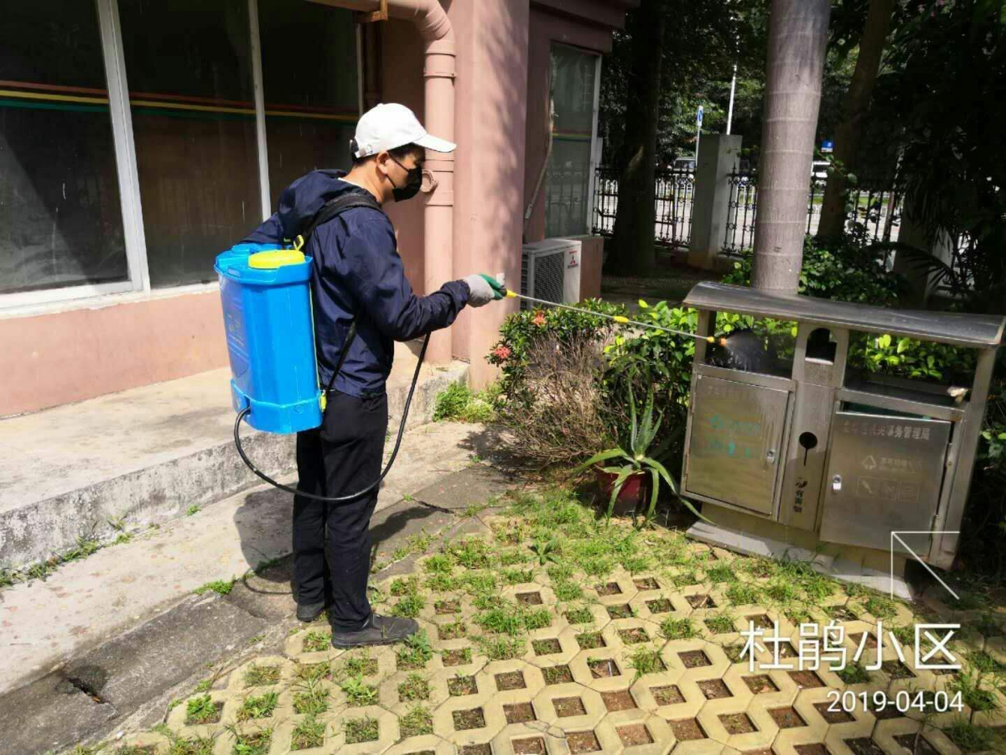 灭虫公司上海(上海杀虫公司的收费标准)