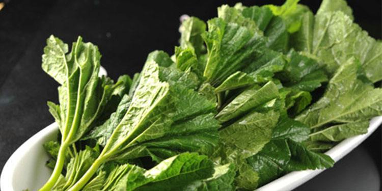 湖南冬天可以种什么菜(湖南冬天适合种植什么菜)