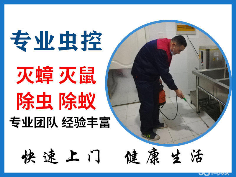 杀虫灭鼠价格(杀虫灭鼠价格表)