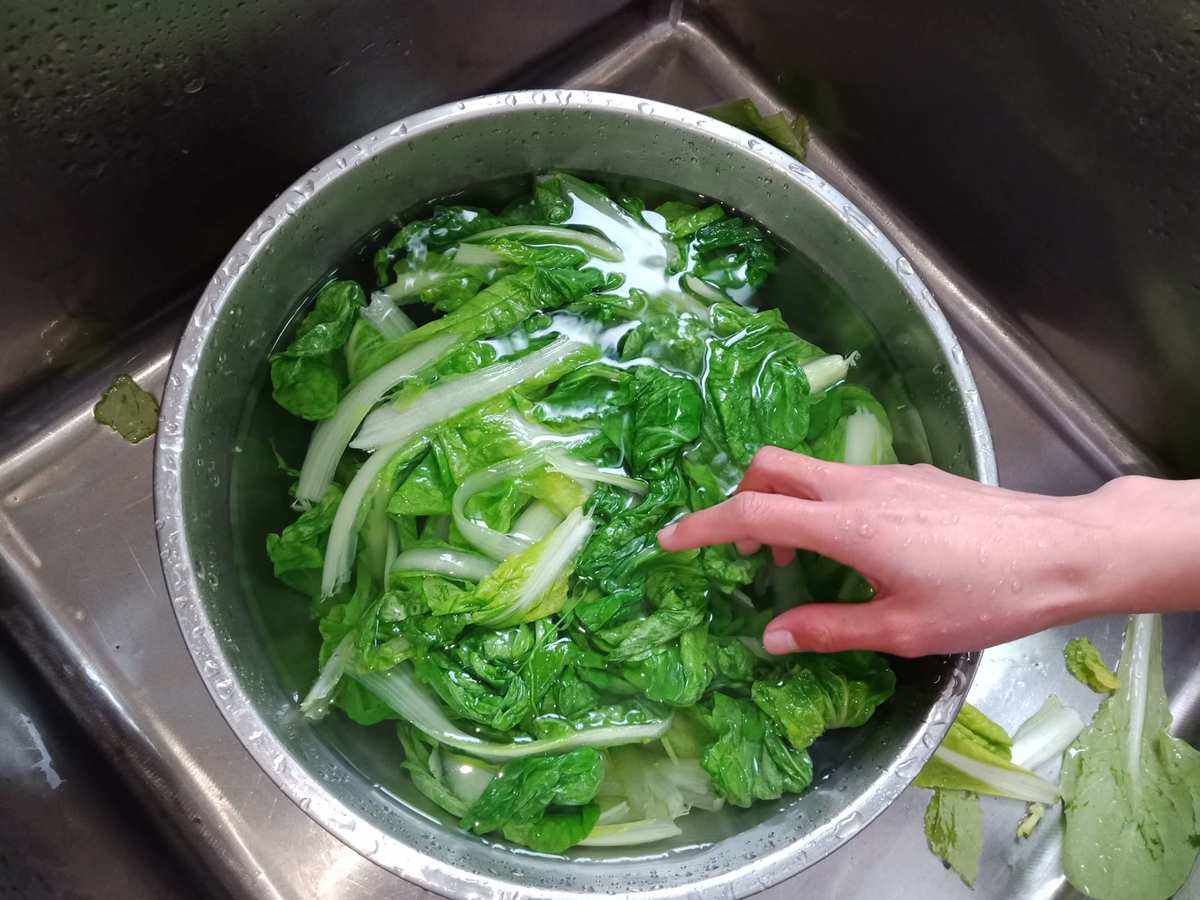 白菜馅要焯水吗(白菜做馅焯水还是撒盐)