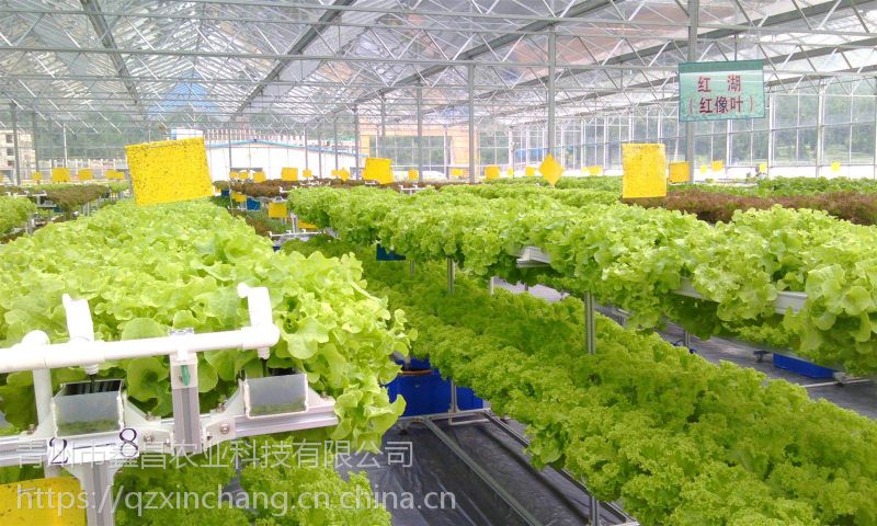 立体种植蔬菜大棚(立体种植蔬菜大棚怎么画)