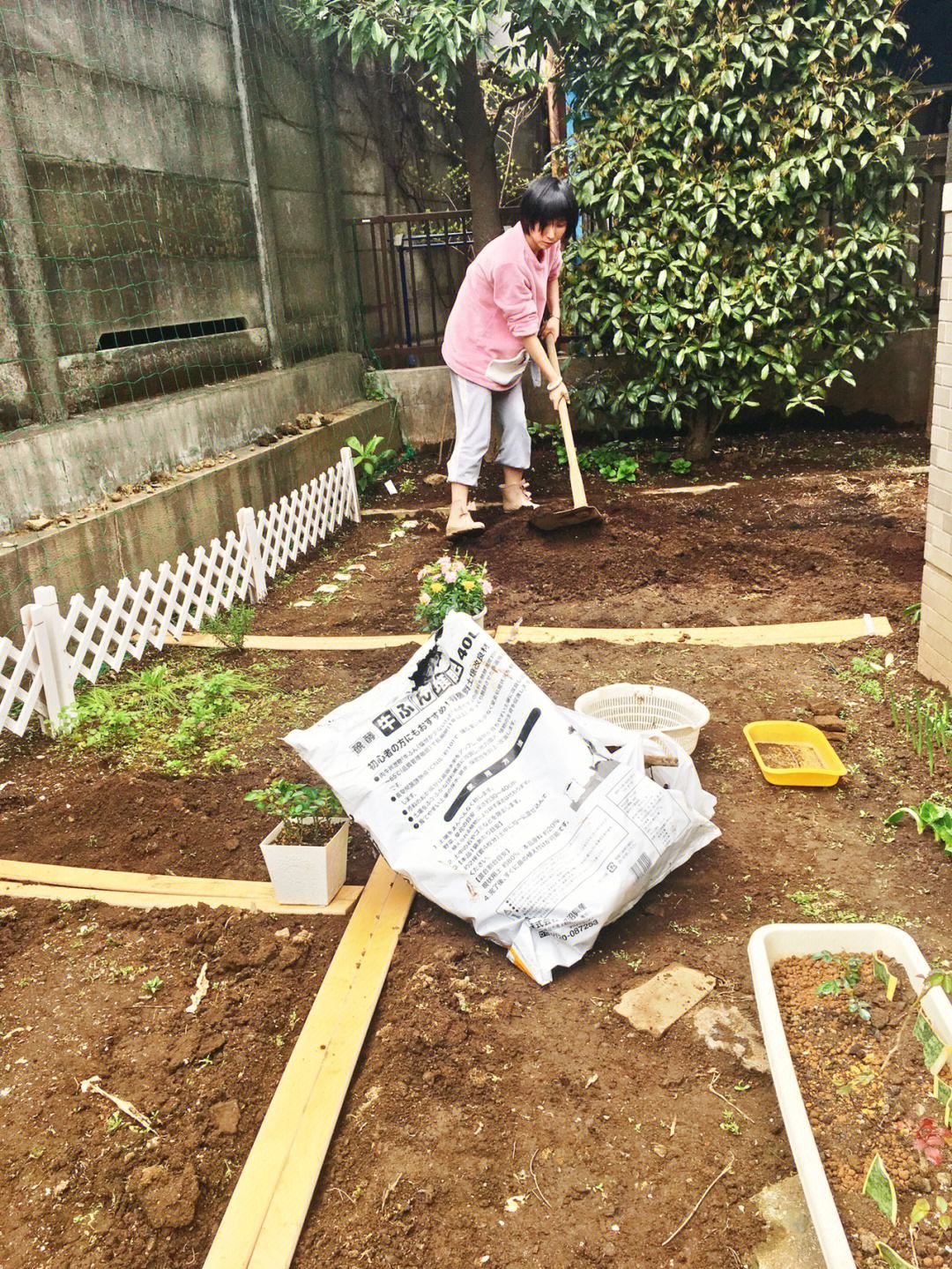 种菜施肥(种菜施肥用什么肥料好)