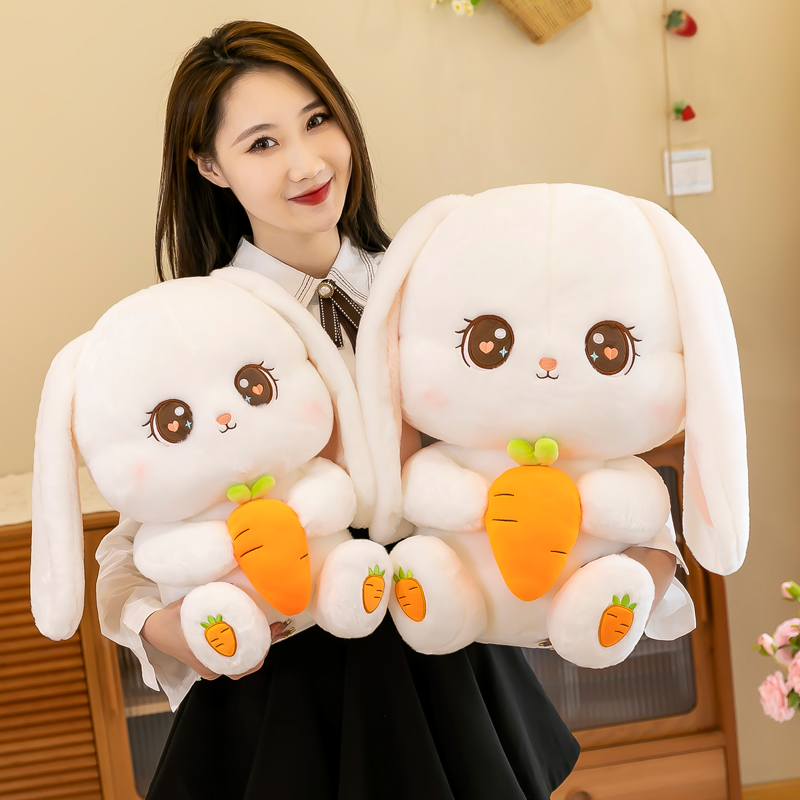 小兔子抱胡萝卜(小兔子抱胡萝卜图片)