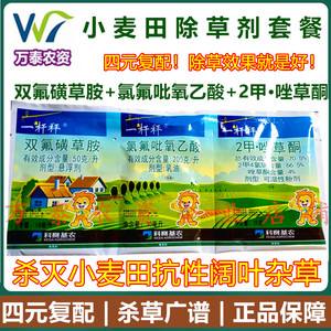 小麦除草用什么药最好(小麦除草用什么药最好呢)