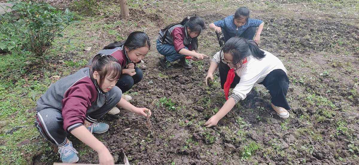 播种课程(播种课程名字怎么取)