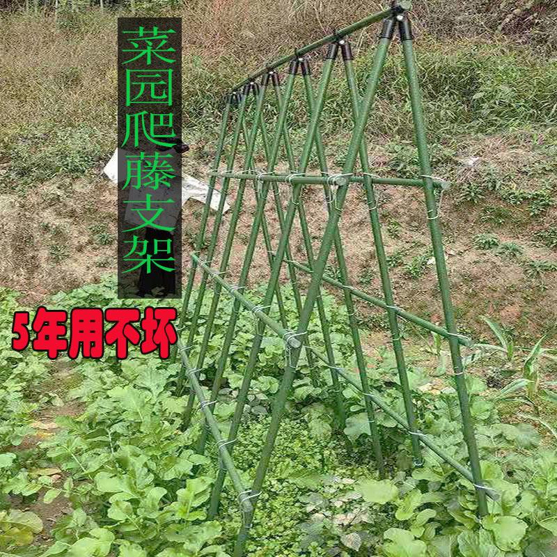 种丝瓜怎么搭架子(种丝瓜怎么搭架子好)