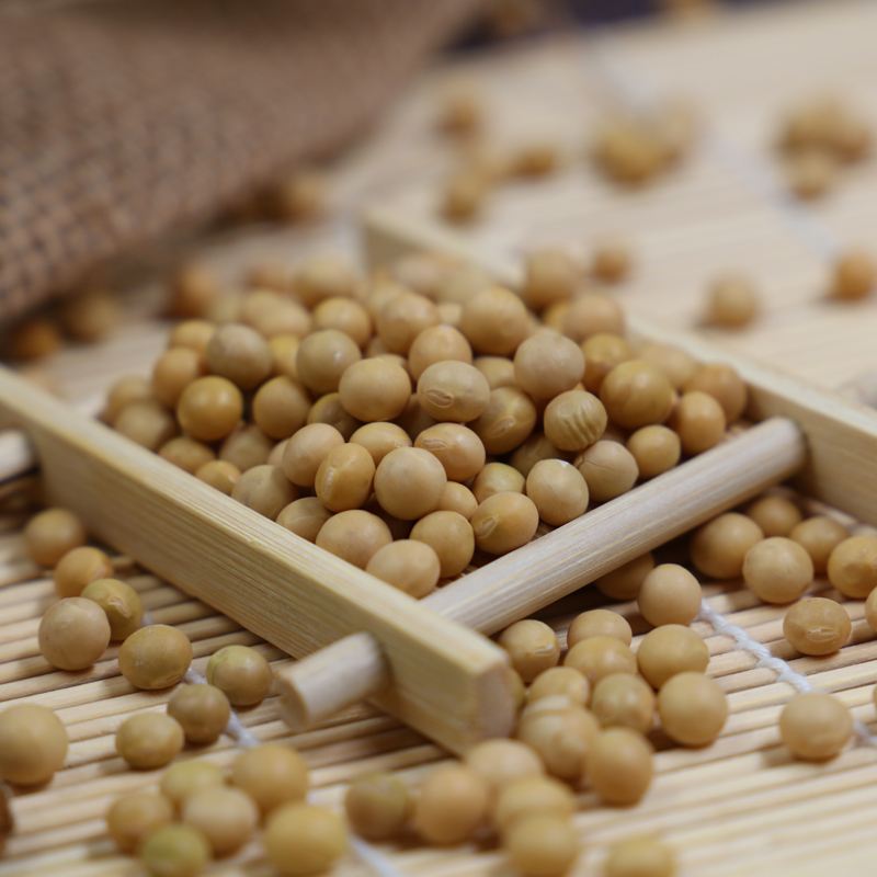 有机豆子是转基因的吗(有机豆子是转基因的吗能吃吗)