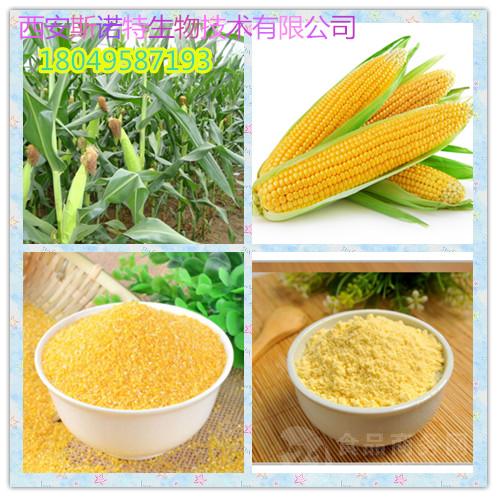 黄芪玉米(黄芪玉米红萝卜排骨汤的功效)