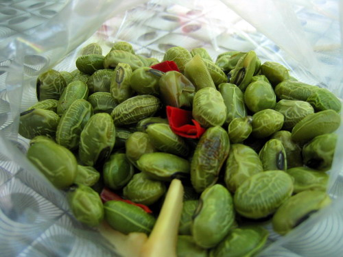 毛豆种法(毛豆怎样种植技术)
