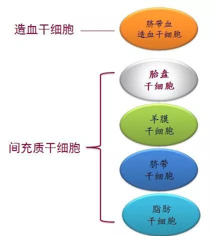 储存干细胞一般得多少钱(储存干细胞的价格表 知因)