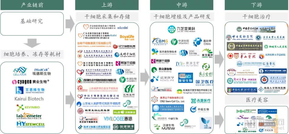 储存干细胞一般得多少钱(储存干细胞的价格表 知因)
