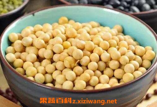 哪种豆子最有营养(哪种豆子最有营养的)
