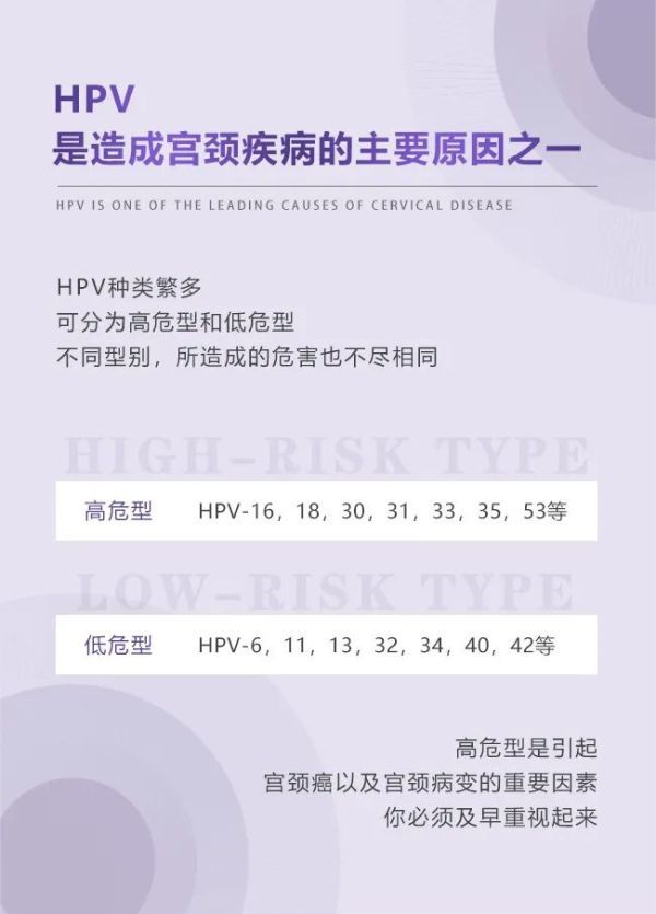 phv种类(phv种类及症状)