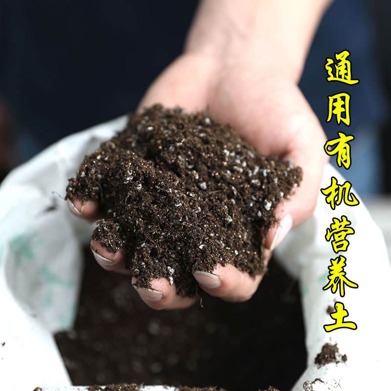 广西育苗基质厂家(广西育苗基质厂家排名)