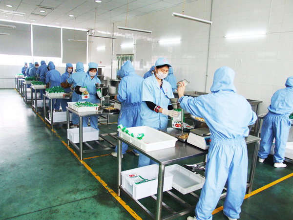 小加工厂加工(小型加工厂做什么利润高)