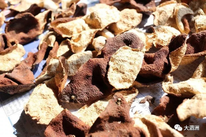 陈皮用什么储存方法最好(陈皮怎么存放及装什么容器最佳)