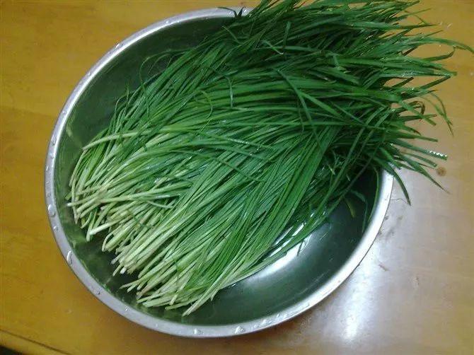 蔬菜种植驱虫(蔬菜种植驱虫技术)