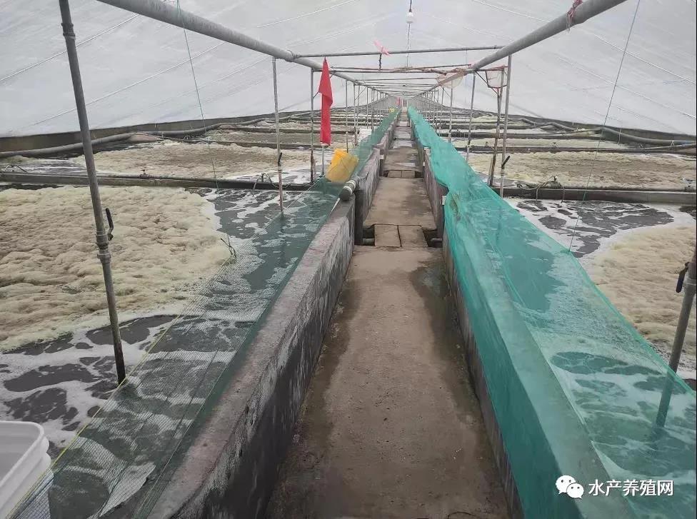内陆水产养殖(内陆水产养殖概念股)