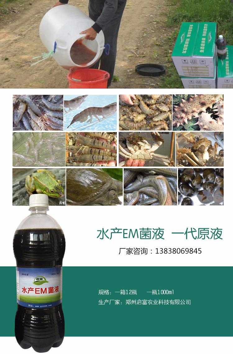 em菌水产养殖(EM菌水产养殖最佳用法)