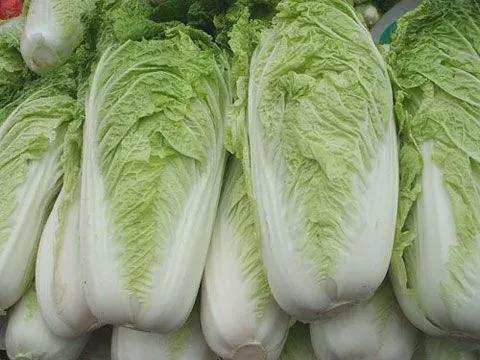 什么叫白菜(什么叫白菜价)