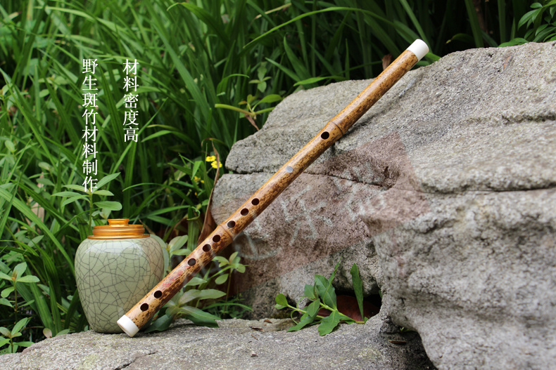 笛子都有哪些种类(笛子有哪些种类?)