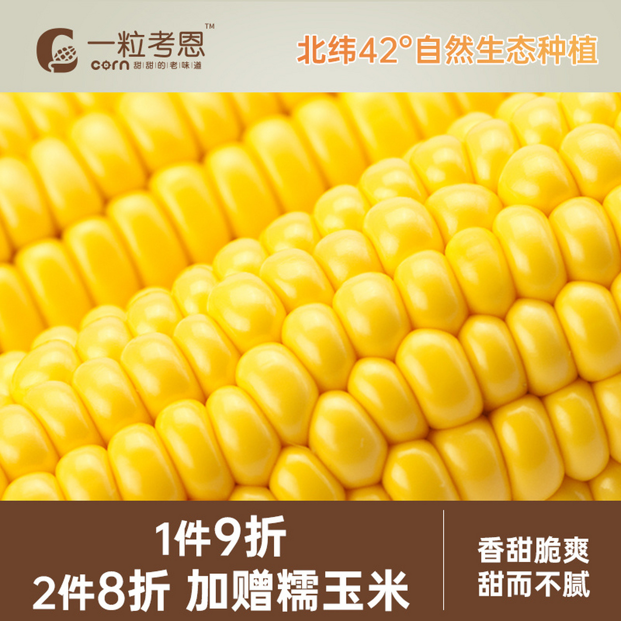 转基因玉米分辨(转基因玉米怎么分辨,转基因玉米鉴别图片)
