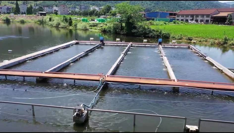 智能化水产养殖业(智能化水产养殖业现状)