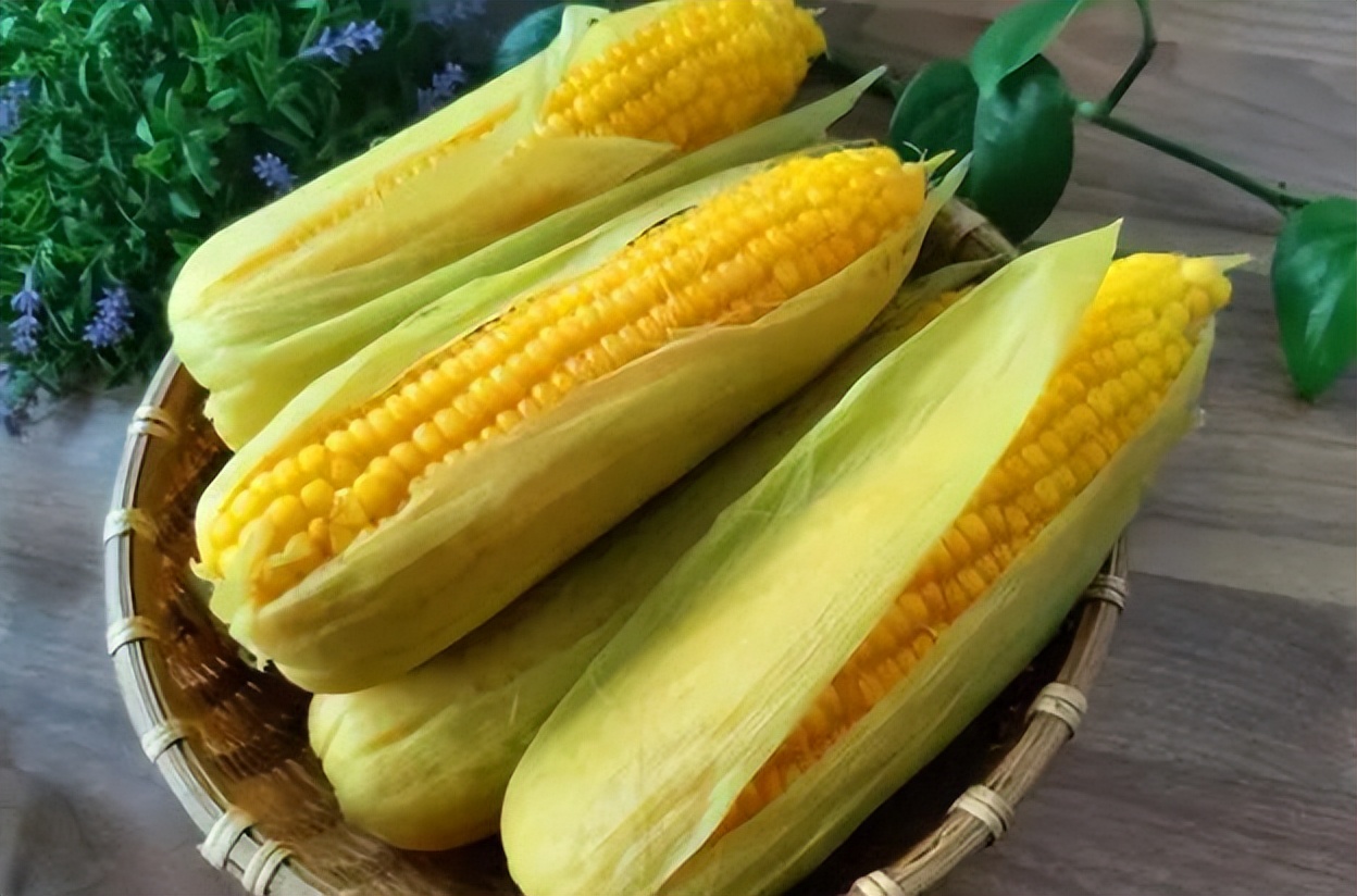 甜糯型玉米(甜糯玉米品种有哪些?)