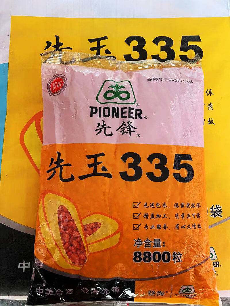 东单181玉米品种怎么样(东单181玉米种多少钱一袋)