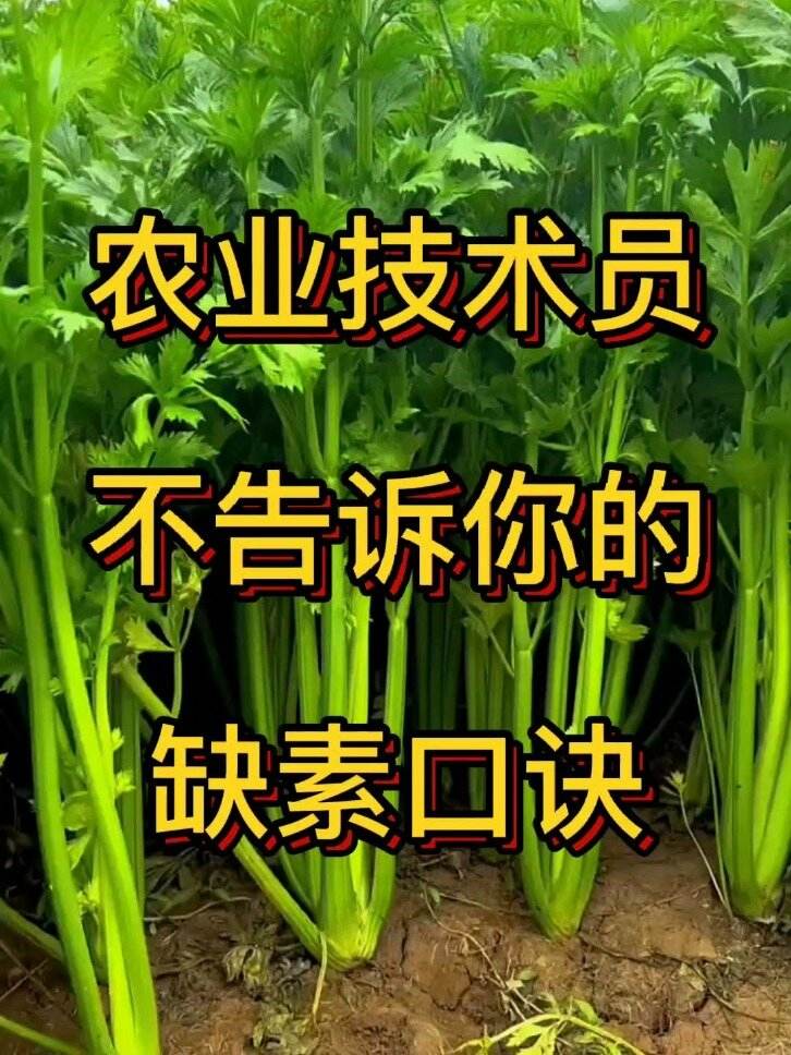 四季蔬菜种植口诀(二十四节气种植蔬菜时间表)