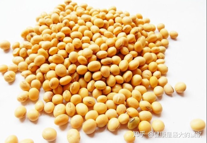 大豆的营养特点有哪些(大豆的营养成分及食疗作用)