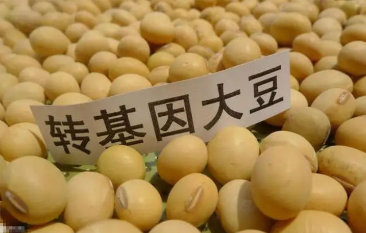 转基因无害(转基因无害论)