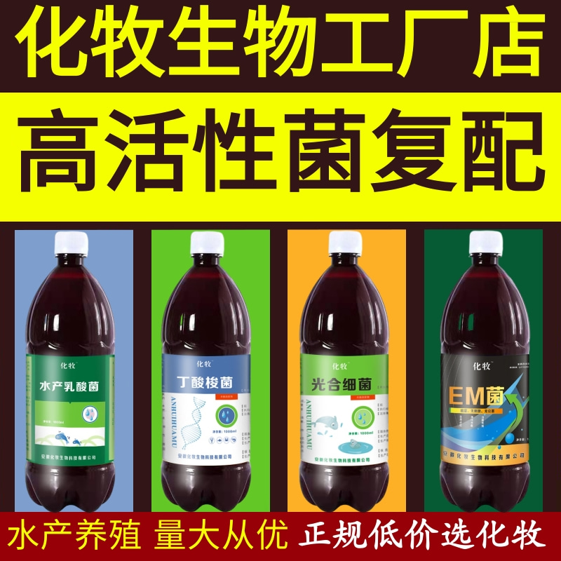 光合细菌水产养殖(光合细菌养鱼的作用)