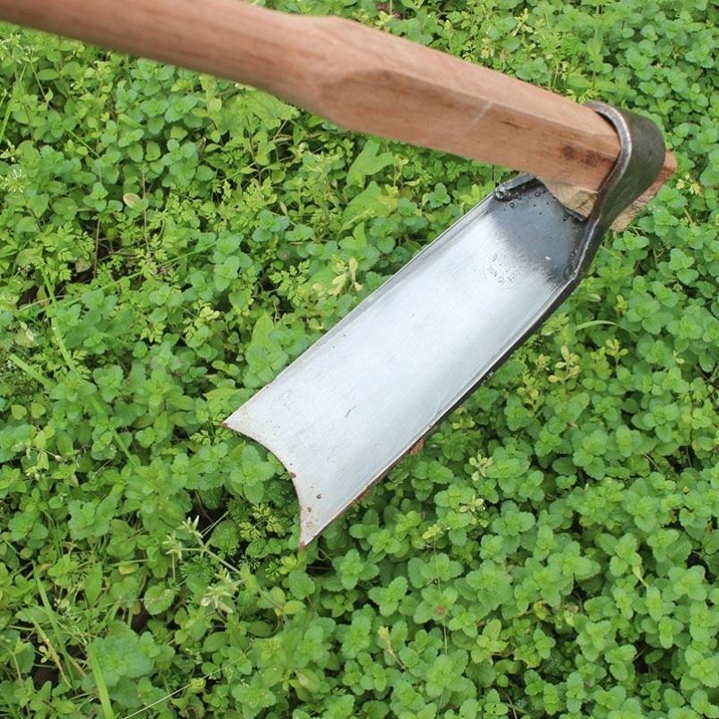北方除草锄头(锄草锄头哪种除草好用)