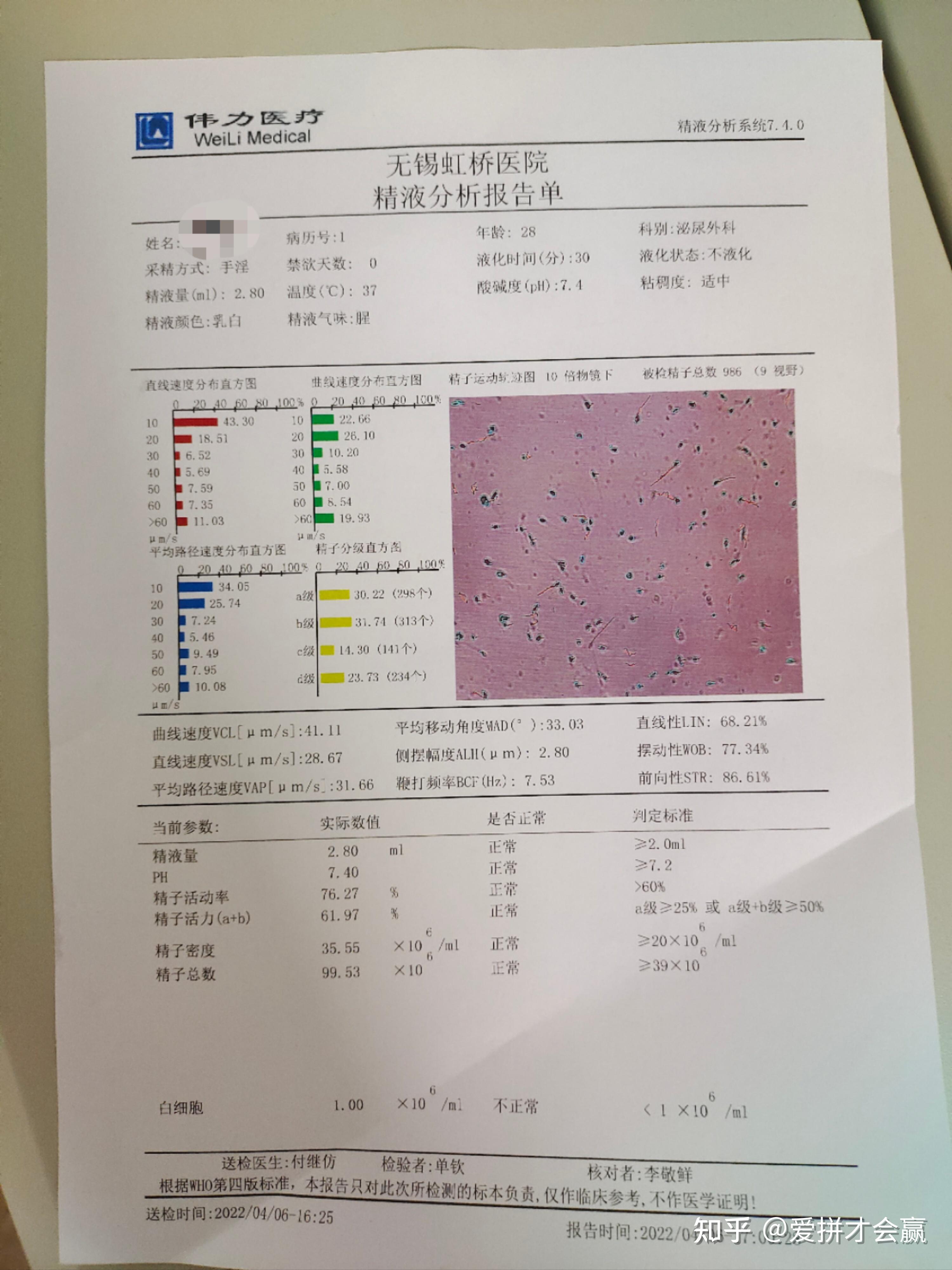 白细胞储存在哪里(白细胞贮存池存在哪里)